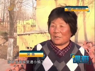 调查 抓获"白日闯" 140414