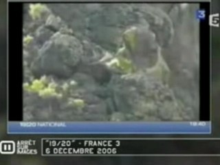 Les marmottes taliban