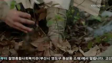 강남오피-466【아밤abam6닷넷】『서면오피』№birthdays『창원오피』