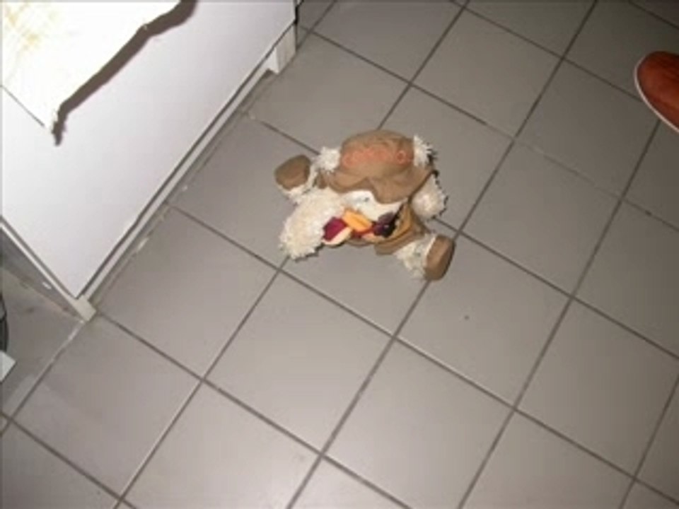 Vie de nounours