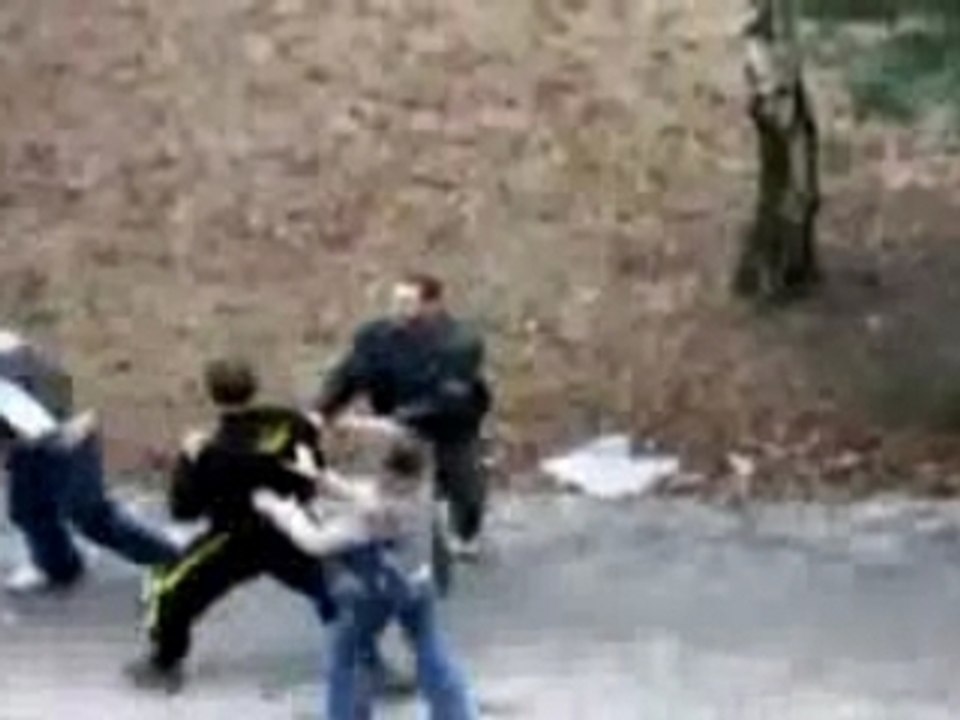 Fight dans un parc