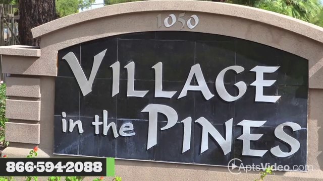 Village in the Pines Apartments in Mesa, AZ - ForRent.com