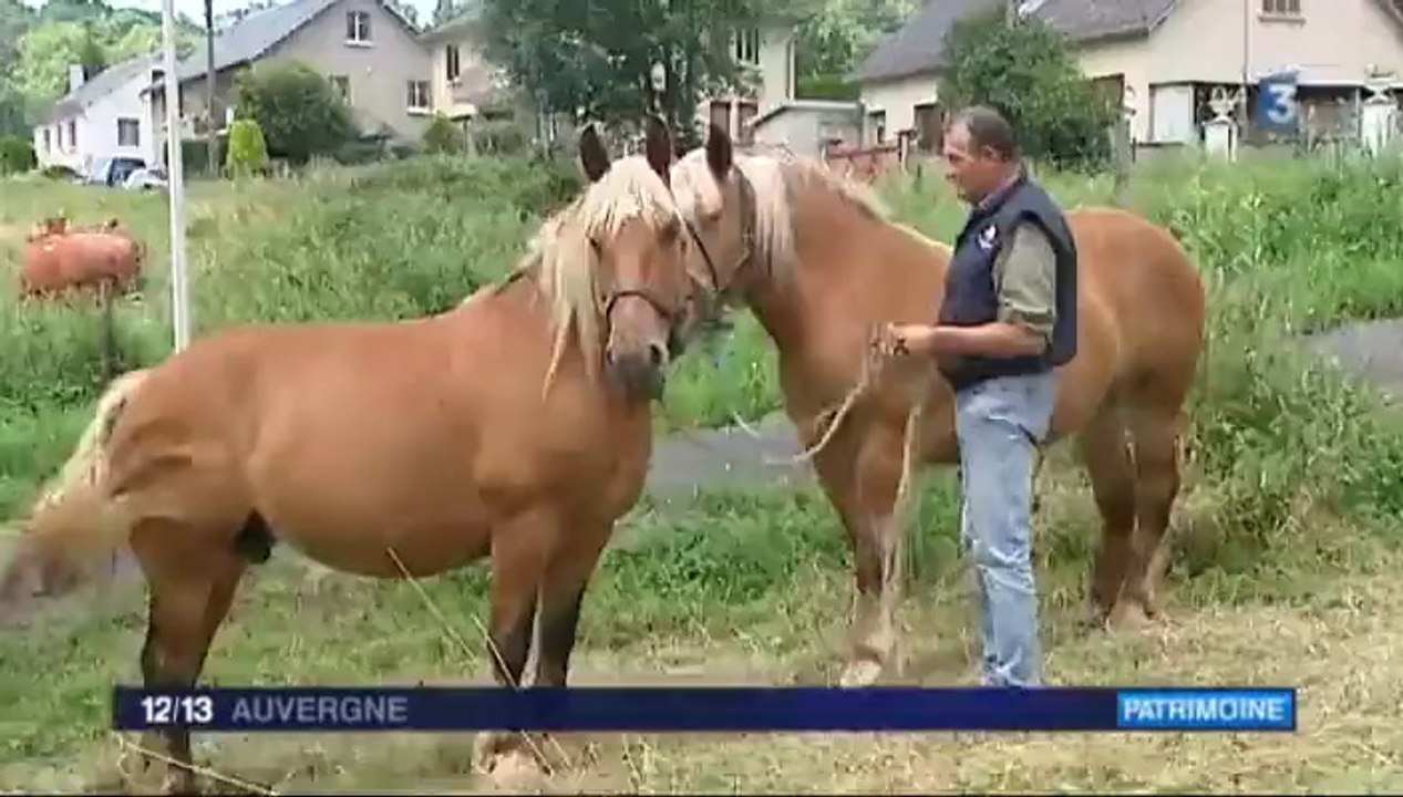 Les 20 ans de la Festa del Païs - Reportage de France 3 Auvergne 12/13