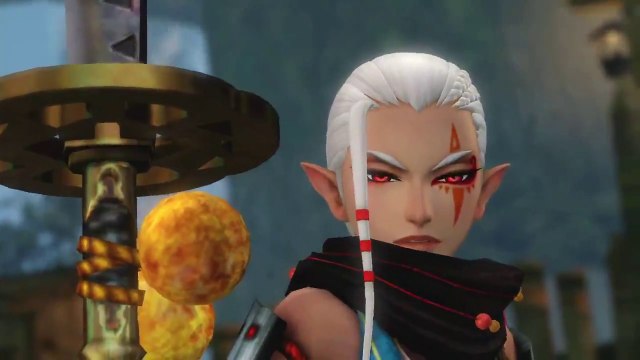 Hyrule Warriors - Impa & Naginata