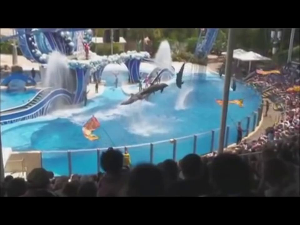 Fermer EngFranNedl dauphins en Europe, les delphinariums FERMEZ, Sluiter bis dauphins en Europe