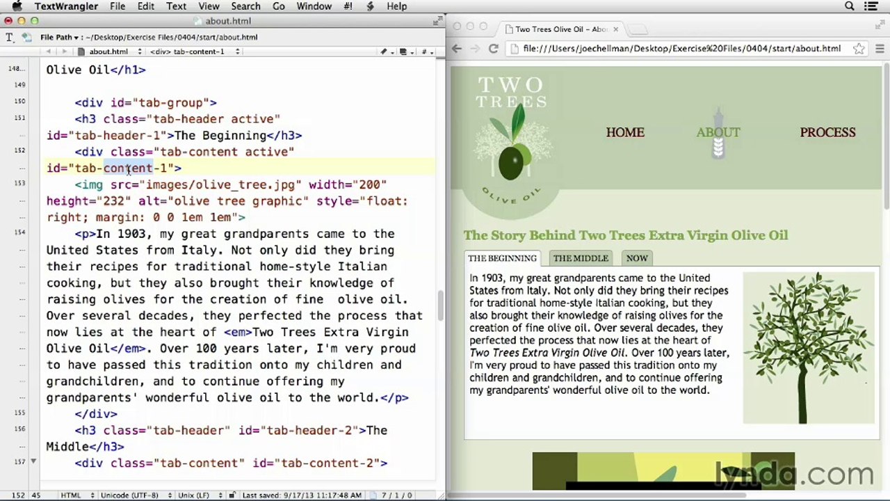 30- JavaScript for Web Designers 144203_04_04_XR15_cactivate