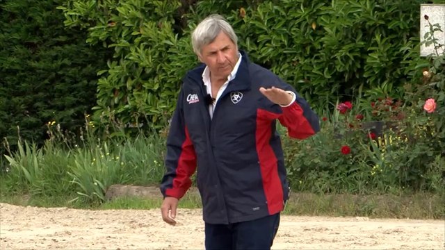 Cheval Pratique - Travail à l'obstacle : rapprocher-eloigner