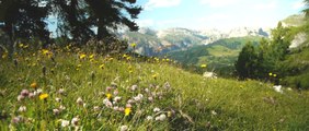 Beautiful Easy Instrumental Music - brain, think, inspirational - Dolomites - relaxdaily N°065 1080p