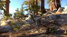 Beautiful Relaxing Instrumental Music - Yosemite Magic - relaxdaily N°075 1080p