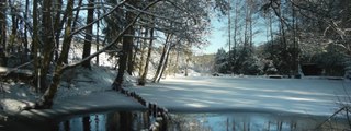 Instrumental Music to Relax, Study and Work - Snowy Woods - relaxdaily N°064 720p