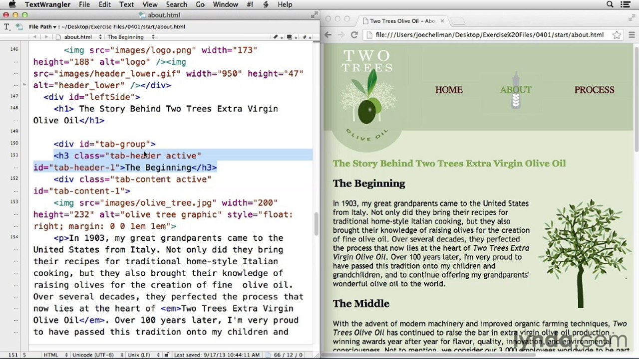 27- JavaScript for Web Designers 144203_04_01_MM30_overview