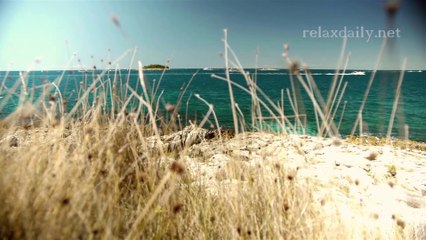 Peaceful, Soothing Background Music Instrumental - relaxdaily N°052 (flow) 1080p