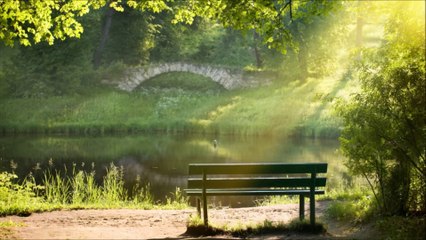 Relax Daily N°001_ peaceful, relaxing music for your quality time 1080p