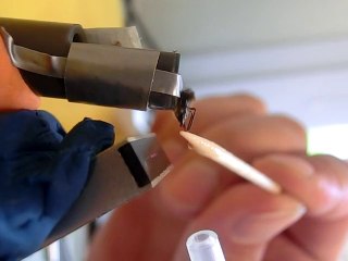 Detect the proboscis extension of honeybees