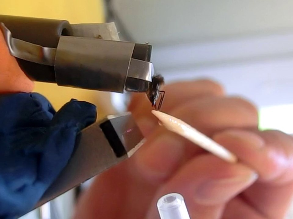 Detect the proboscis extension of honeybees