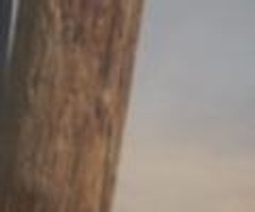 İsrail askerlerinden AA ekibine saldırı