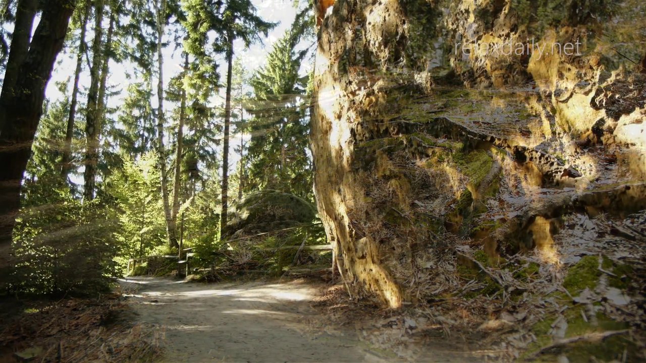 Relaxing Music -- e.g. for studying, yoga or to calm and slow down -- relaxdaily N°056 1080p