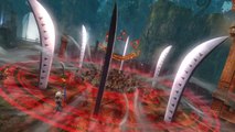 Zelda Hyrule Warriors - Impa Spear Gameplay Trailer (Nintendo Wii U) HD