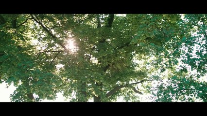 Monsieur Lazhar - official trailer