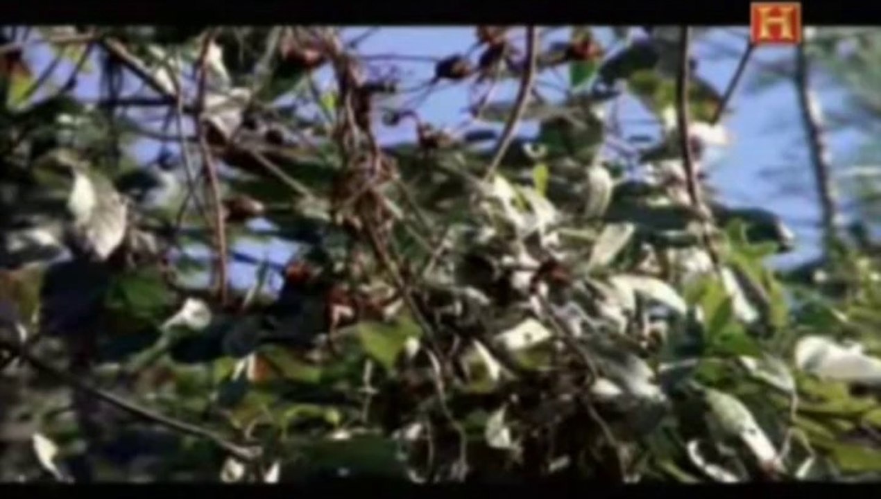 Pelotas de látex maya para el juego de pelota