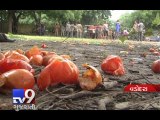 Pricey tomatoes wasted to celebrate 'La Tomatina' on Friendship Day, Vadodara - Tv9 Gujarati