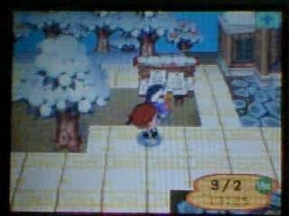 Animal Crossing : Wild World