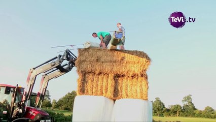 bonhomme de paille festival de la terre et de la ruralité [TéVi] 14-08-14