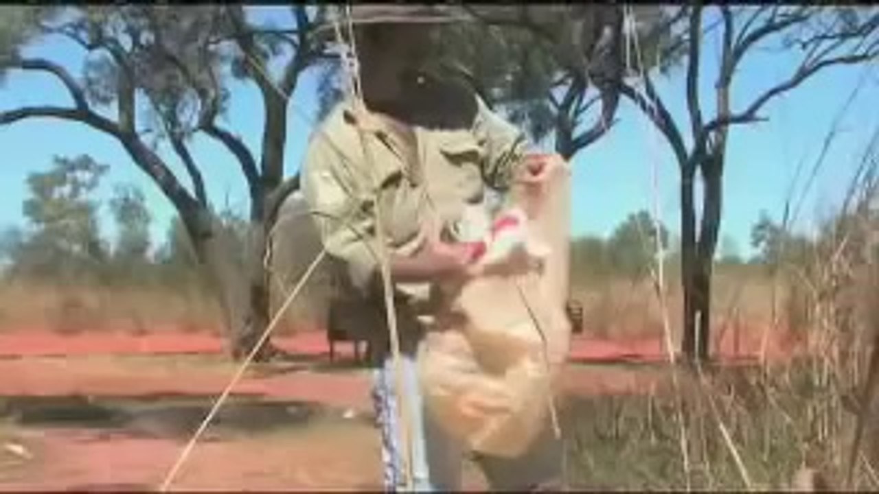 PFF 2010:  Addicted to Plastic - The Rise and Demise of a Modern Miracle (Canada, 2008, 85 mins.)