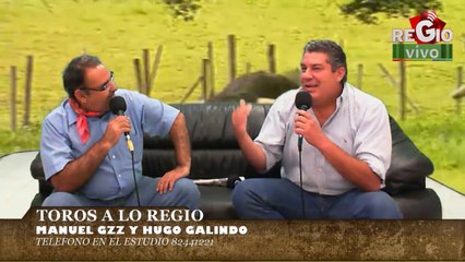 TOROS A LO REGIO 1.... 31  DE JULIO DEL 2014