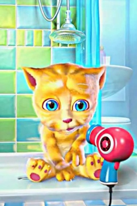 Talking ginger sings a song ginger ginger ginger sing a song