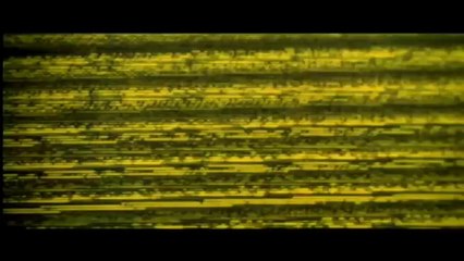 SE7EN - Trailer - HQ - (1995)