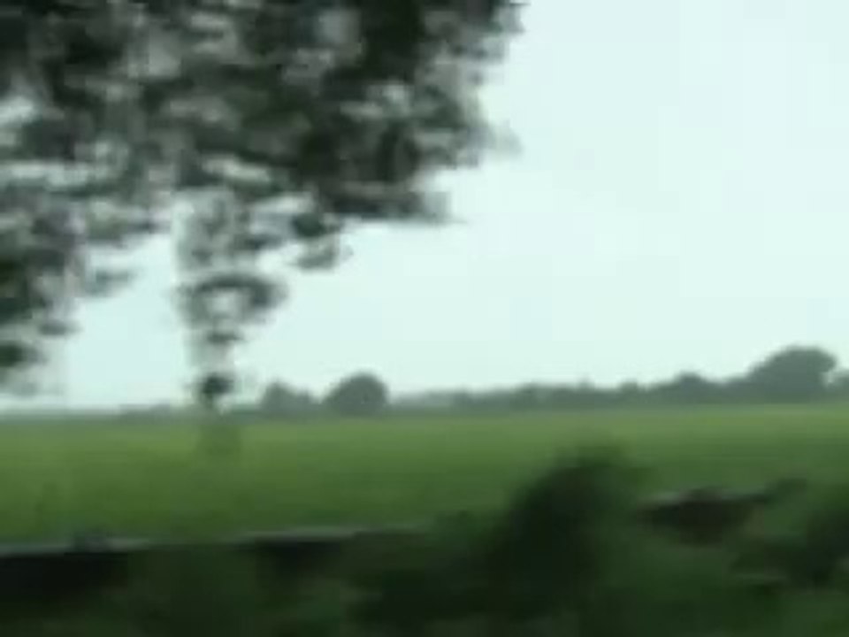 Junagadh gets downpour of heavy rains, rivers and dams overflows