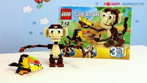 Forest Animals / Zawadiackie Zwierzęta 31019 - Lego Creator - Recenzja
