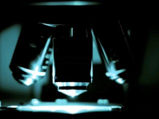 STOP aux Animaux dans les LABORATOIRES