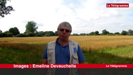 Morbihan. Six buses relâchées