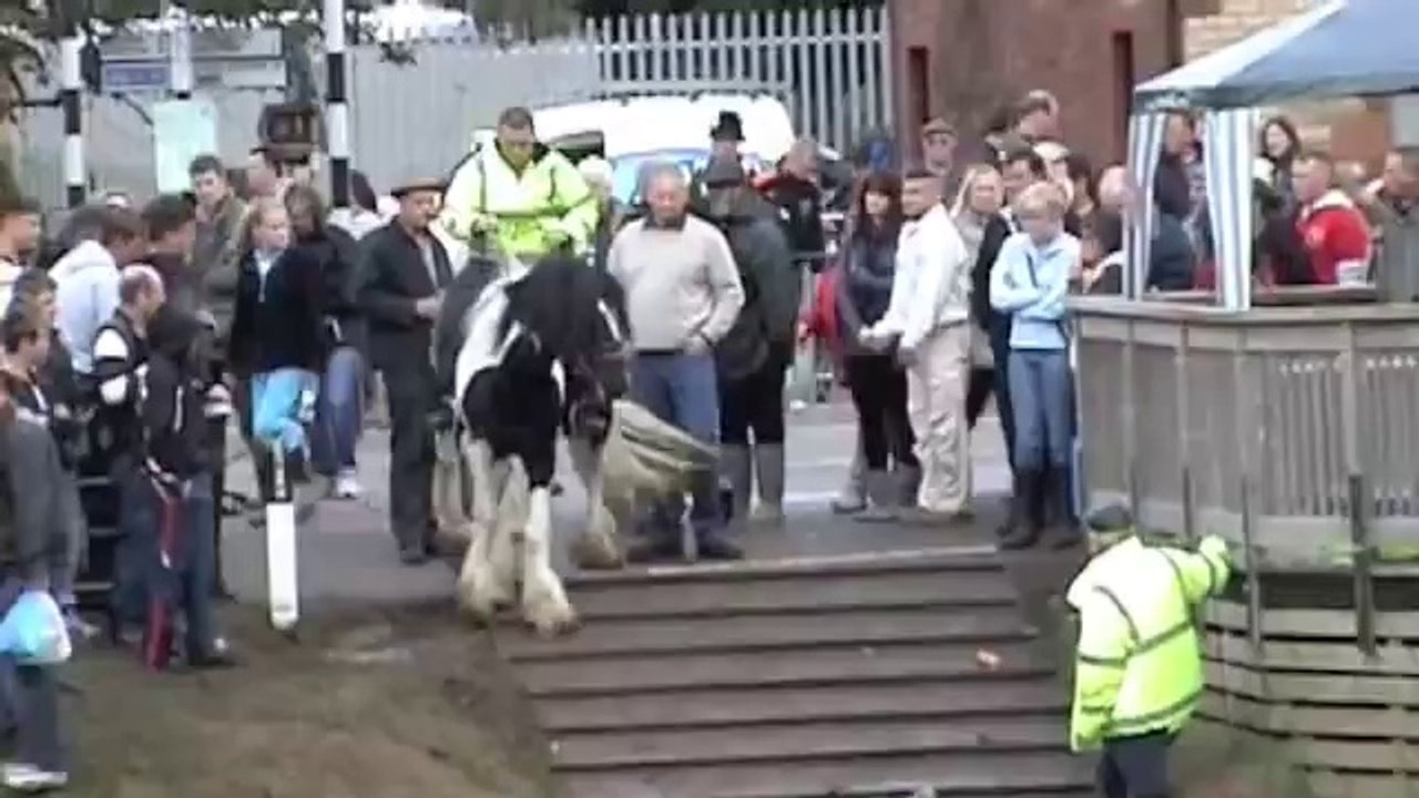 Appleby Horse Fair temps Il est temps de mettre un terme à ce festival de l'abus animal