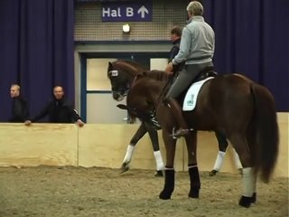 Blue tongue World Cup