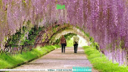 SHINee - Four Seasons [Türkçe Altyazılı]