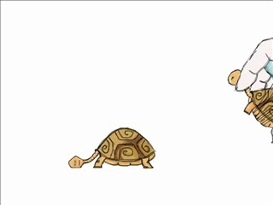 tortugas xxx
