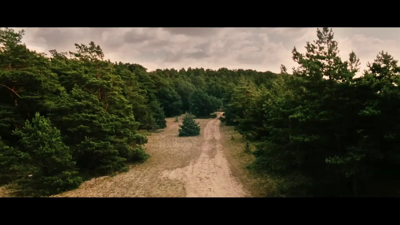 Poll | Trailer D (2011)