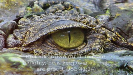 Genesis and Job: God's Creation - Behemoth and Leviathan