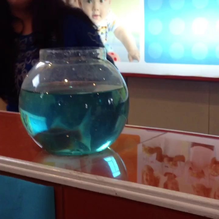 Mobile Capture 4 Jul 2014