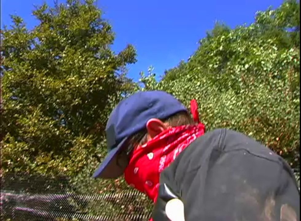 The Green Rush (Trailer)