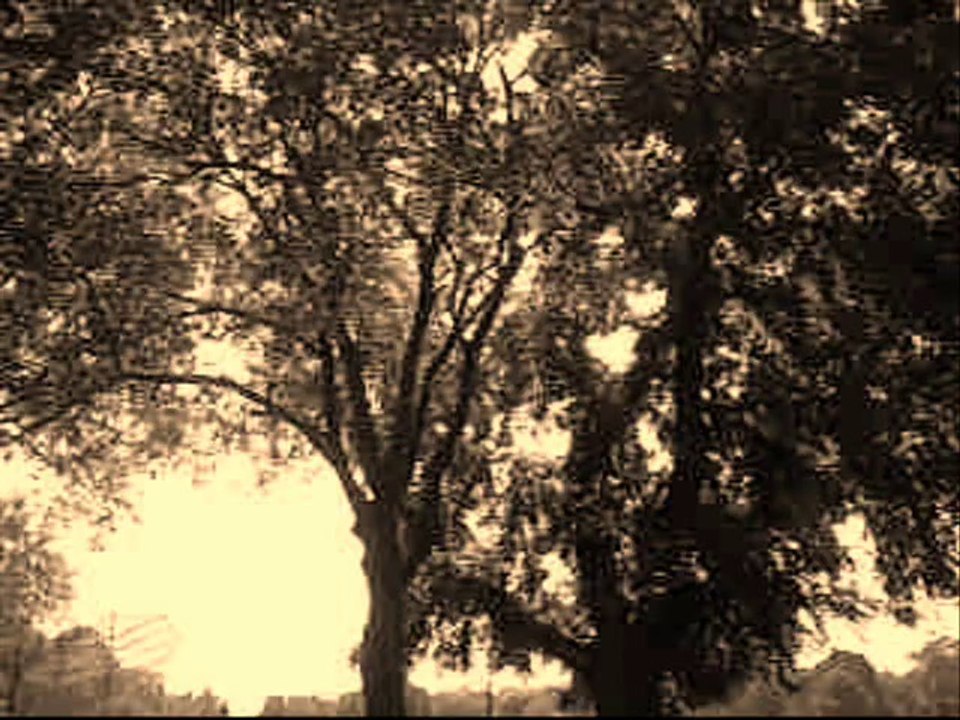 Christ, Be Our Light (Cover Song) by Billy J Bryan & The Ax Grinders / video by Robert Segarra