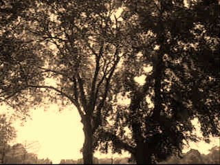 Christ, Be Our Light (Cover Song) by Billy J Bryan & The Ax Grinders / video by Robert Segarra