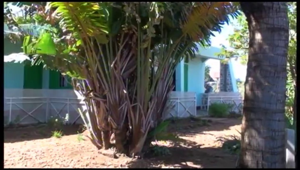 Nos Vacances à Madagascar 2014 Dvd 1