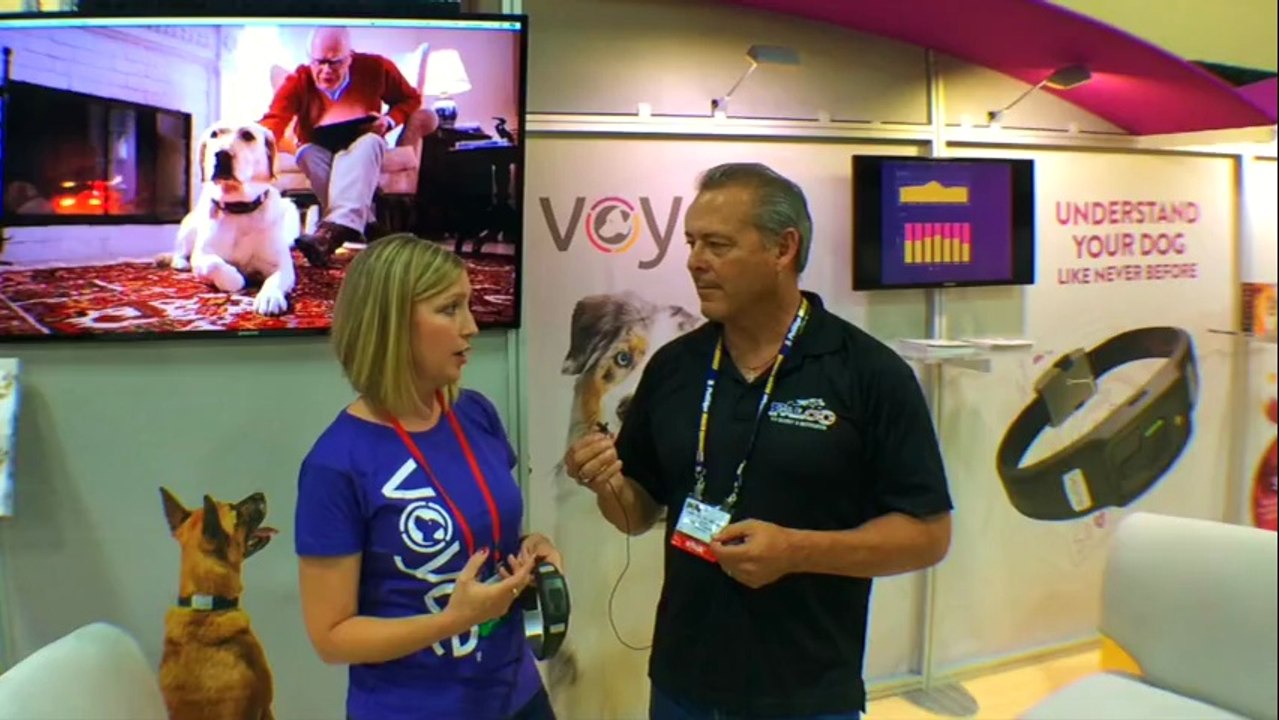 Falco K9 at Super Zoo with "My Dogs Voyce"