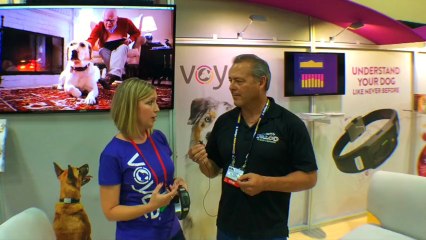 Falco K9 at Super Zoo with "My Dogs Voyce"