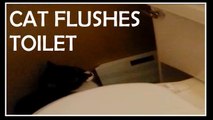 Cat Flushes Toilet & Tries To Open Toilet Seat