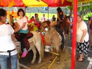 Maneges poneys